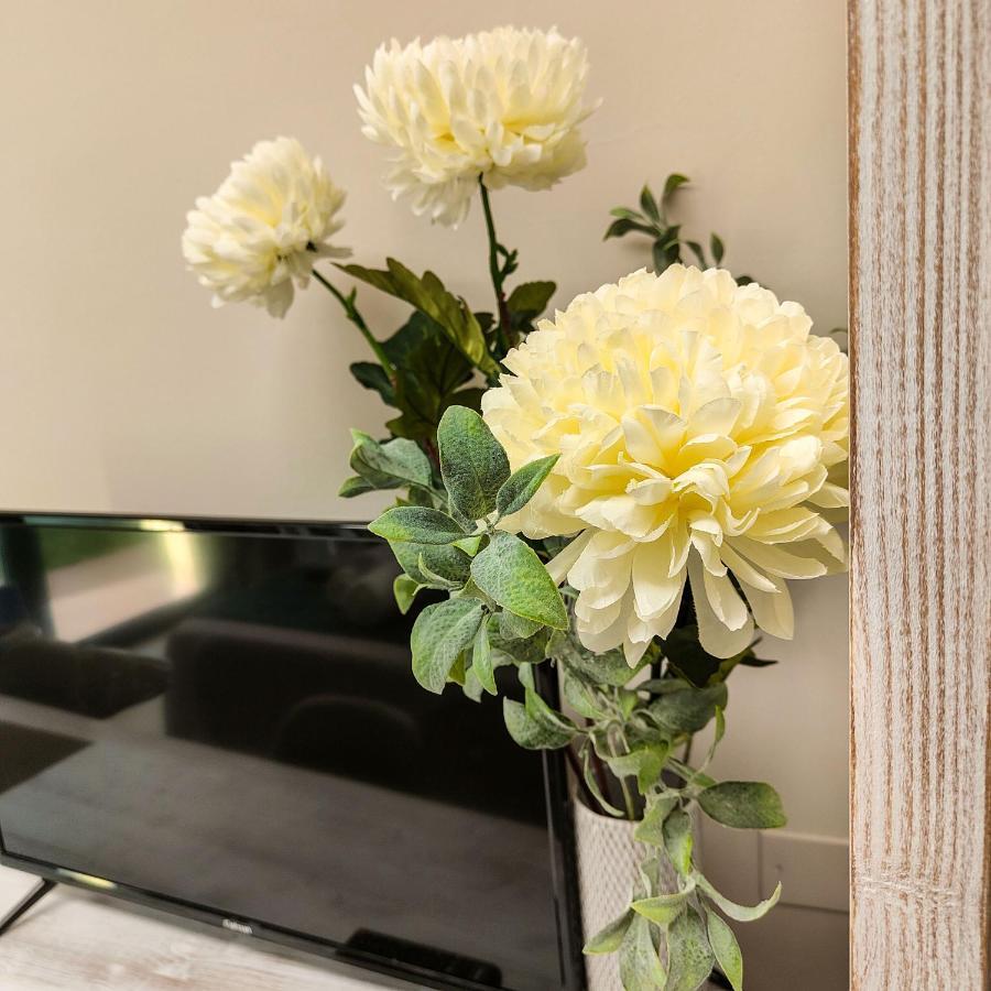 Delphinium Hotell Selargius Eksteriør bilde